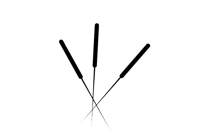 طب سوزنی